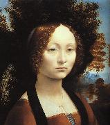  Leonardo  Da Vinci Portrait of Ginerva de'Benci-u Spain oil painting reproduction